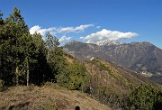 57 In salita al Pizzo Rabbioso tra pini mughi ad alto fusto